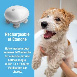 Un masseur pour chat électrique rechargeable. Masseur électrique pour chat et chien