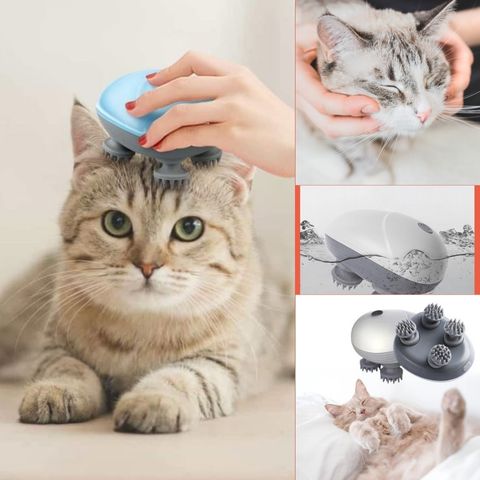 Un chat est toiletté avec appareil de massage pour chat