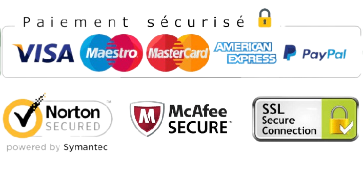 Une liste de logos de cartes de crédit et de paiement.